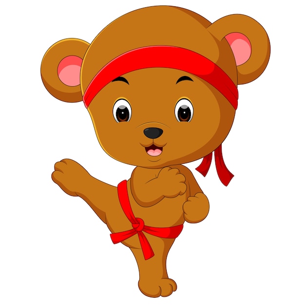 karate teddy bear