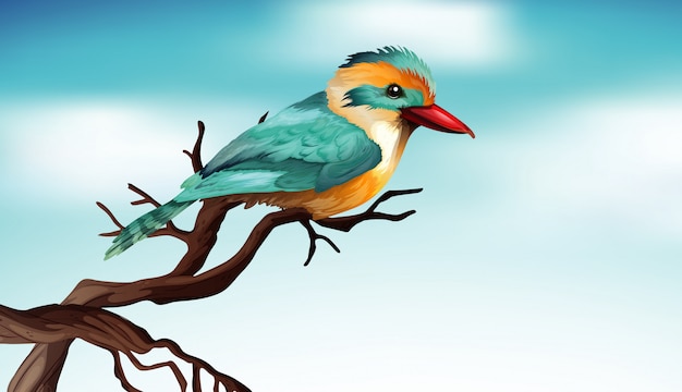 Premium Vector | Cute bird on the wooden branch