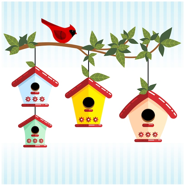 Premium Vector | Cute branch with bird houses and red cardinal