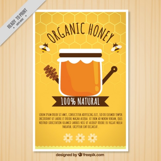 Free Vector | Cute brochure of organic honey