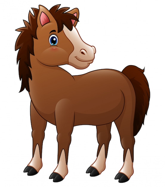 Download Cute brown baby horse Vector | Premium Download