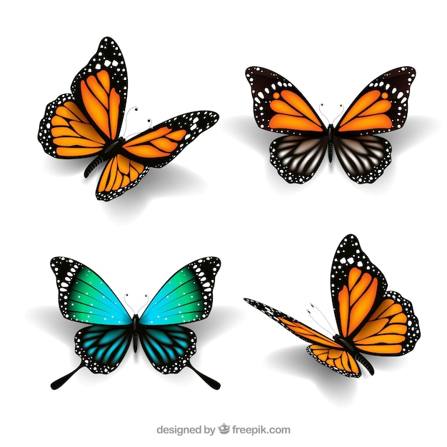 Download Cute butterflies in realistic style Vector | Free Download