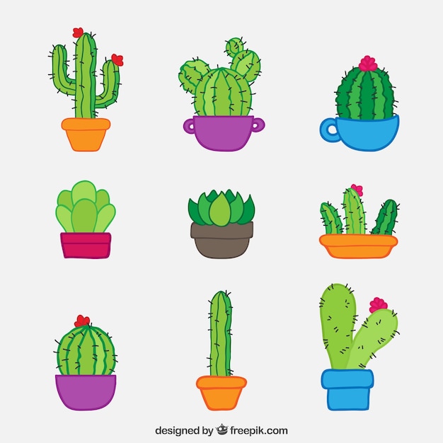 Cute cactus with colorful style Vector | Free Download