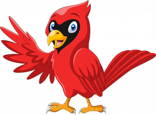 Cardinal Bird Cartoon Image