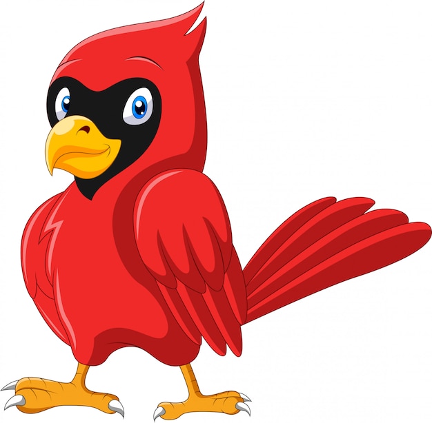 Cute cartoon beautiful cardinal bird | Premium Vector