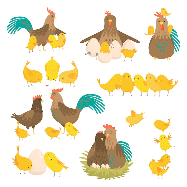 Premium Vector | Cute cartoon cock family set isolated on white background