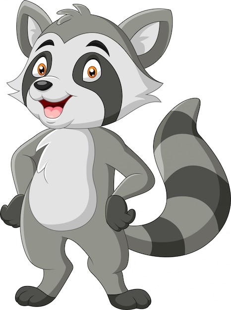 Popular Cute Raccoon Cartoons