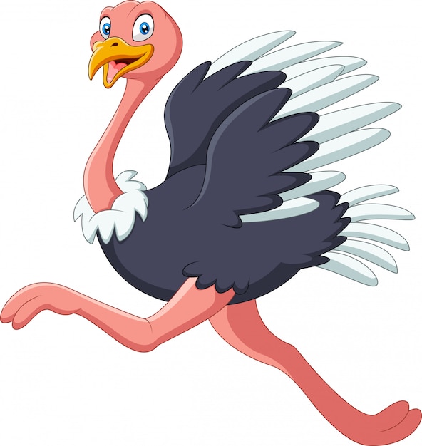 Premium Vector | A cute cartoon ostrich running