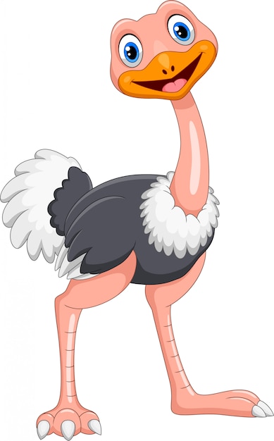 Premium Vector | Cute cartoon ostrich