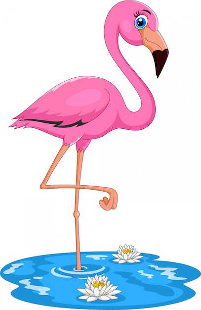 cartoon flamingo standing in water
