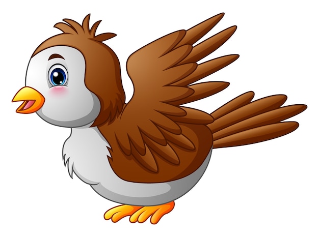 Cute cartoon robin bird Vector | Premium Download