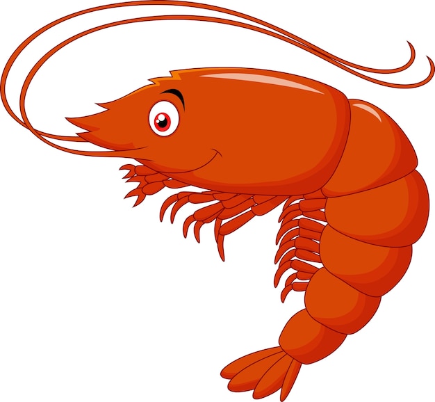 Premium Vector Cute Cartoon Shrimp