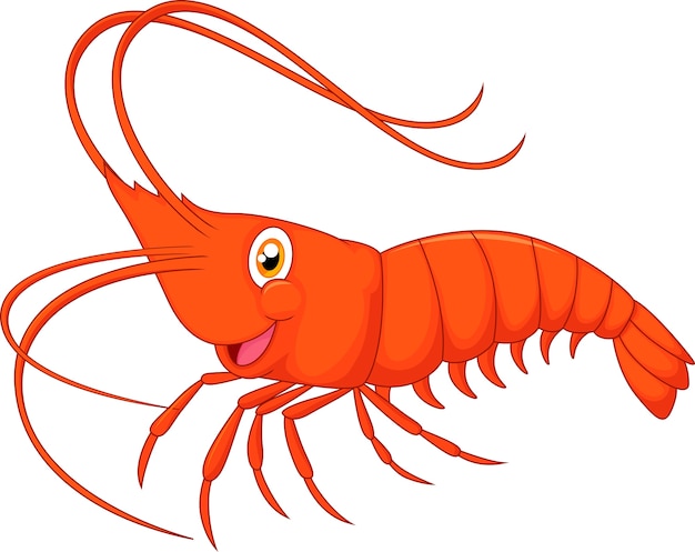 Download Free Cute Cartoon Shrimp Premium Vector Use our free logo maker to create a logo and build your brand. Put your logo on business cards, promotional products, or your website for brand visibility.