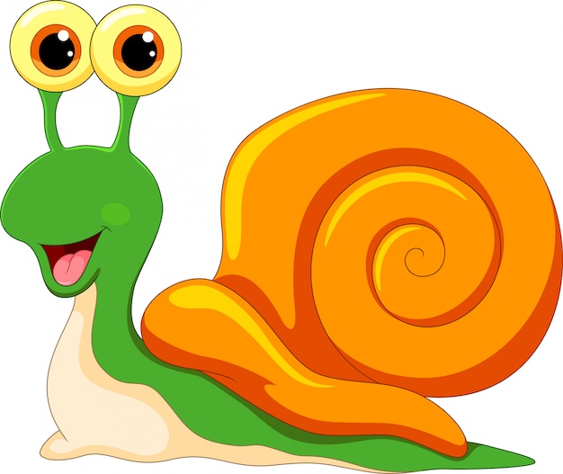 Snail cartoon - smartfas