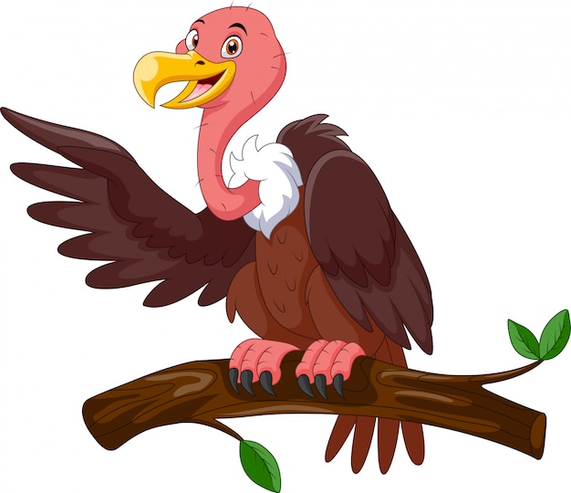 Premium Vector | Cute cartoon vulture stand on a branch