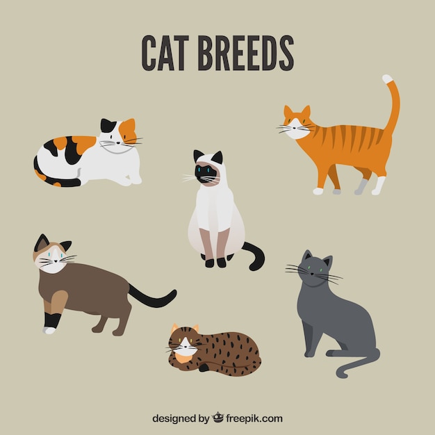 Cute cat breed pack