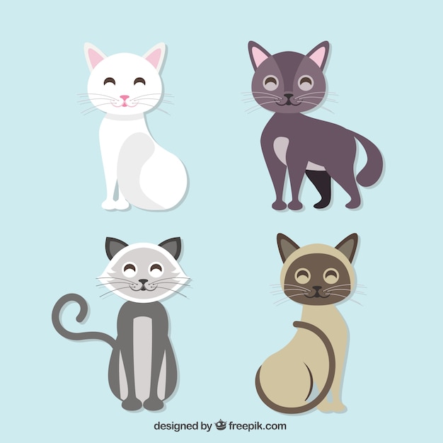 Cute cat collection