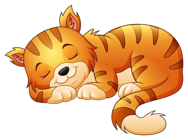 Premium Vector Cute Cat Sleeping 