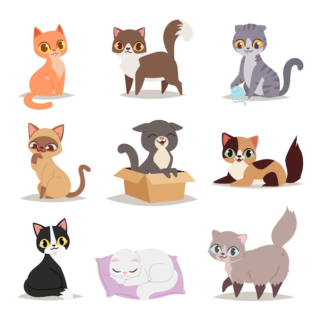 かわいい猫キャラクターの異なるポーズ プレミアムベクター