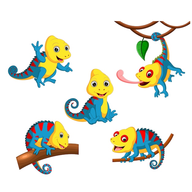 Premium Vector | Cute chameleon cartoon