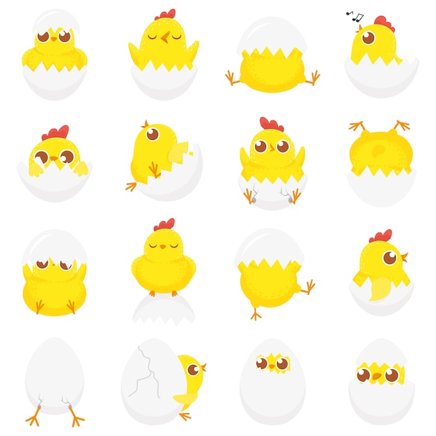 プレミアムベクター 卵のかわいい鶏 イースターの赤ちゃんひよこ 卵殻と農場の子供のひよこ新生児鶏分離漫画セット