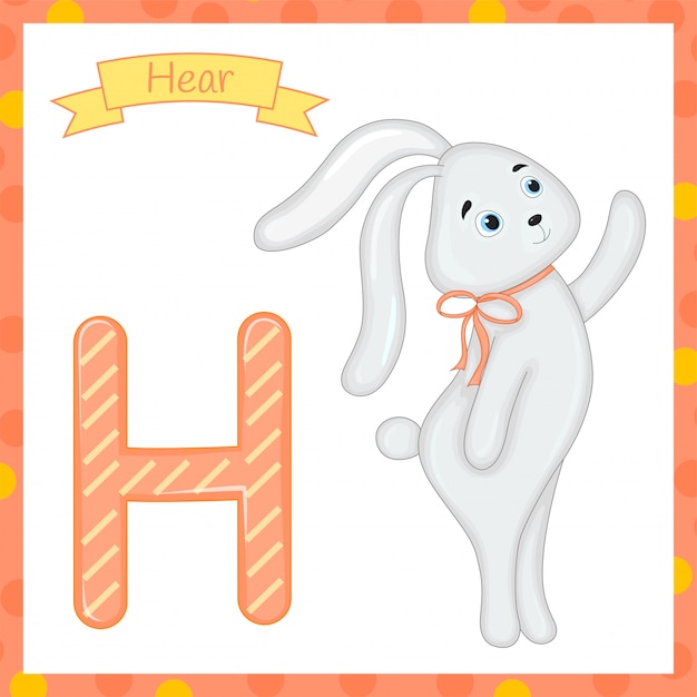 Cute children abc animal zoo alphabet h letter flashcard of hare for