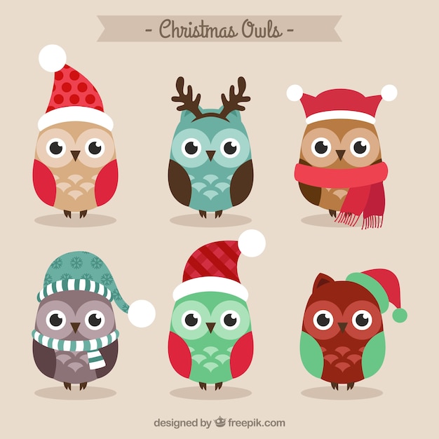 Download Free Vector | Cute christmas owls