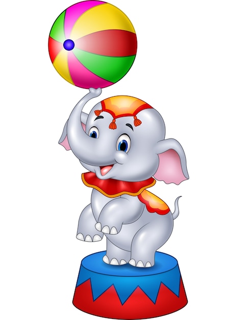ストライプボールとかわいいサーカスの象は 表彰台に立って プレミアムベクター
