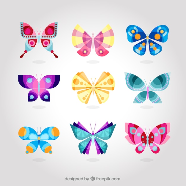 Cute colorful butterfly collection