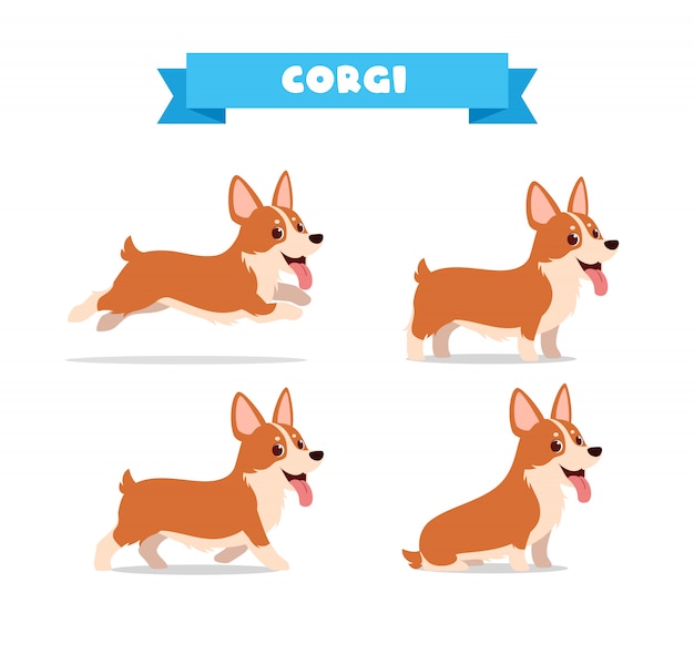 Download Premium Vector | Cute corgi dog animal pet with many pose ...