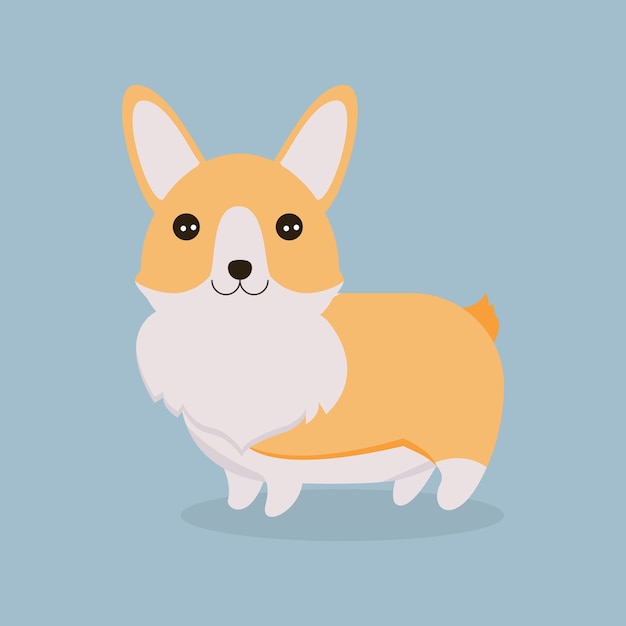 Download Premium Vector | Cute corgi dog