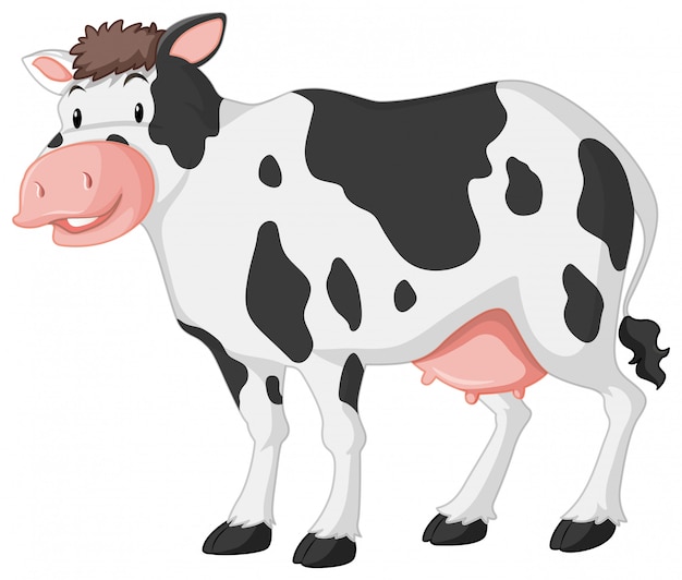 Cute cow with big smile on white | Free Vector