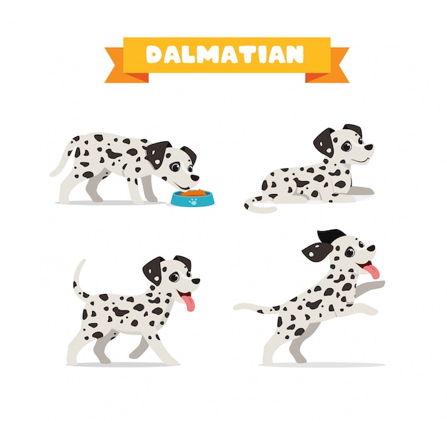 Download Premium Vector Cute Dalmatian Dog Animal Pet With Many Pose Bundle Set