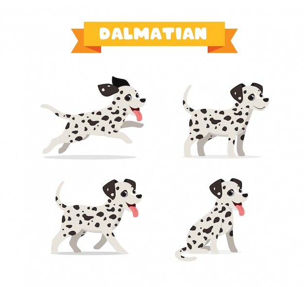 多くのポーズバンドルセットを持つかわいいダルメシアン犬動物ペット プレミアムベクター