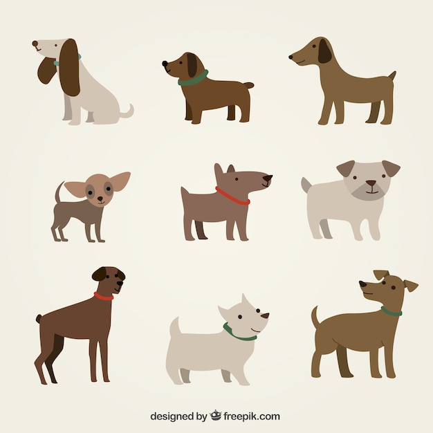 dog vector illustration download free