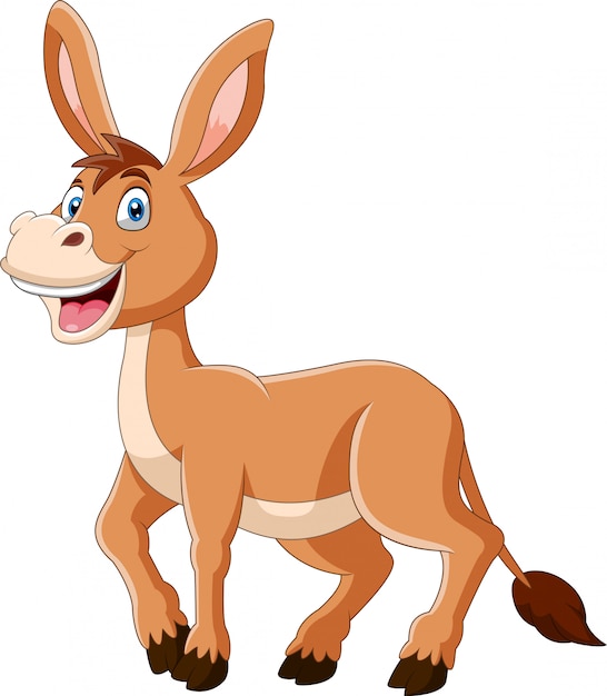 Premium Vector | A Cute Donkey Cartoon Illustration