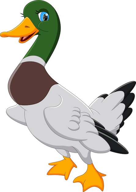 Premium Vector | Cute duck cartoon on white