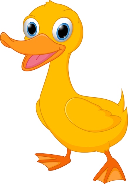 Premium Vector | Cute duck cartoon