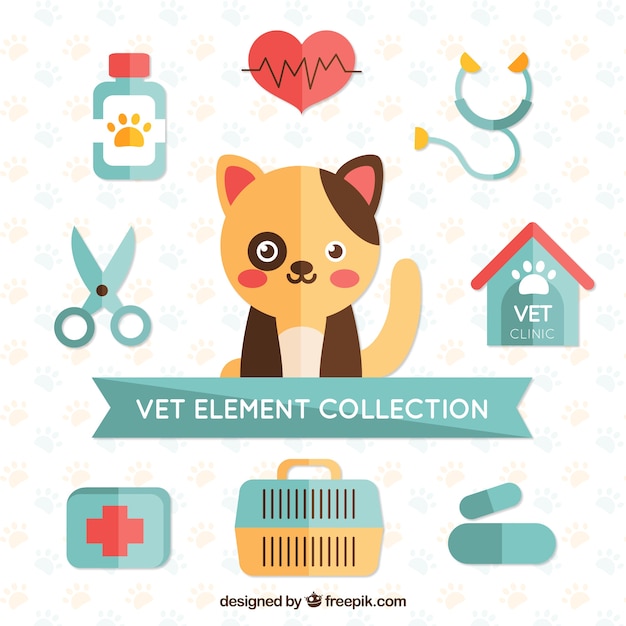 Cute elements for a pet shop
