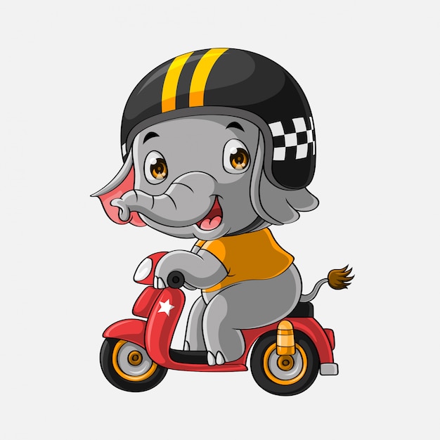 Cute elephant drive motorcycle hand drawn Premium Vector