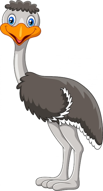 Download Cute emu bird cartoon | Premium Vector