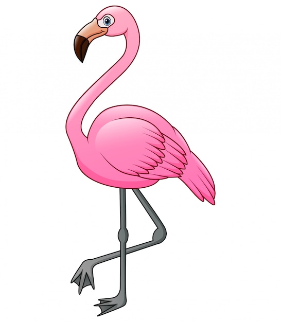 Cute a flamingo cartoon | Premium Vector