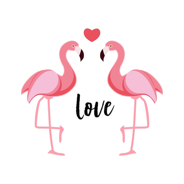 Download Cute flamingo love Vector | Premium Download