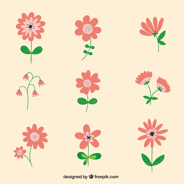 Free Vector | Cute flower collection