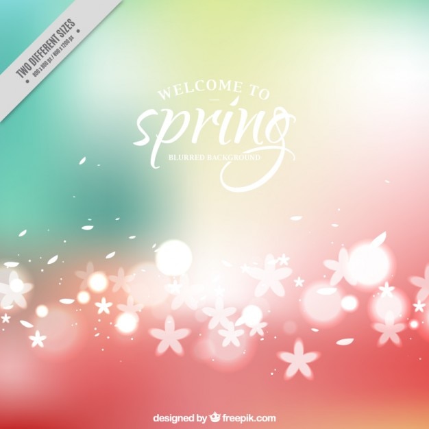 Cute flowers spring burred background