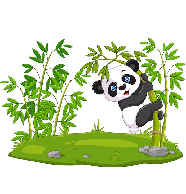 竹に掛かっているかわいい面白い赤ちゃんパンダ プレミアムベクター