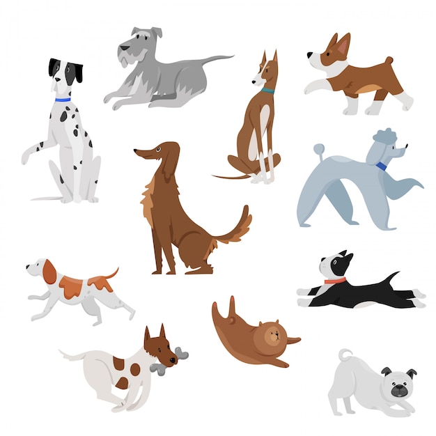 かわいい面白い国内漫画犬ペットイラスト 犬子犬ペットのキャラクター 毛皮で覆われた人間の友人の家の幸せな動物セット プレミアムベクター