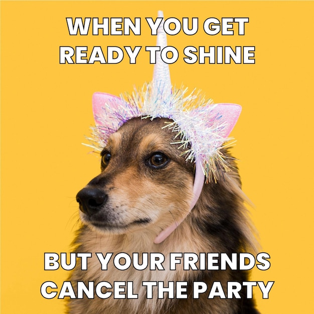 Free Vector Cute Funny Ready To Shine Party Meme