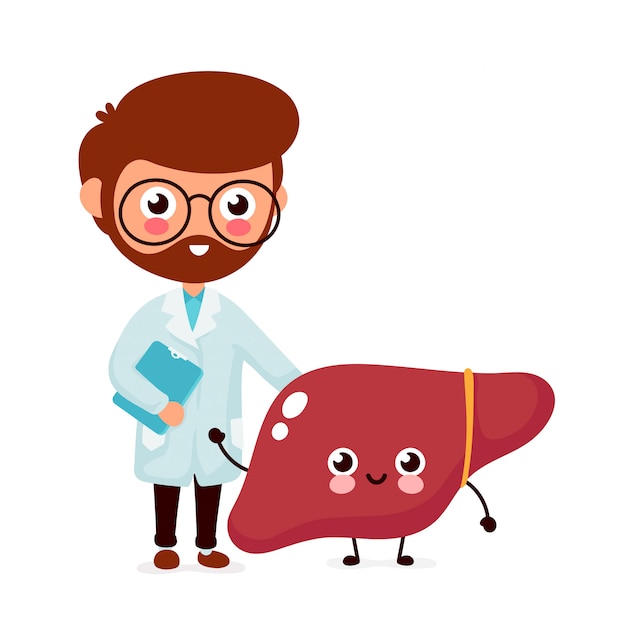 Premium Vector | Cute funny smiling doctor hepatologist and healthy ...