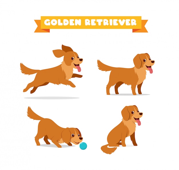 Premium Vector | Cute golden retriever dog animal pet with ...